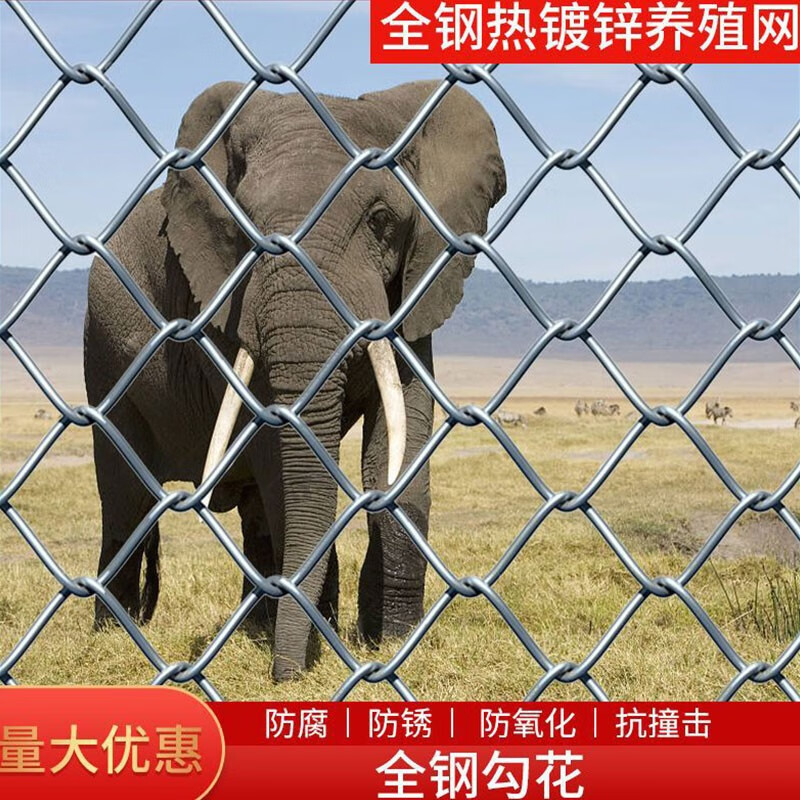 全钢勾花网热镀锌钢丝网铁丝网围栏农场果园防护网养殖鸡牛羊围网 全钢1.5米高2.0粗6厘米孔30米 热镀锌防锈拧边款使用感如何?