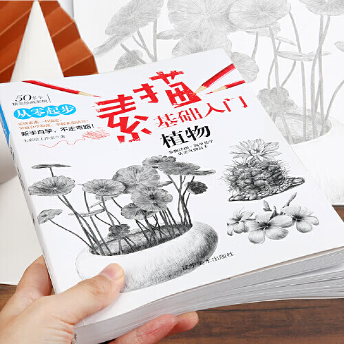 素描基础入门 植物