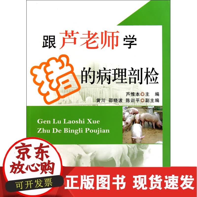 C 跟芦老师学猪的病理剖检