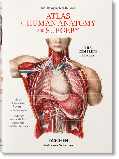 现货英文原版BOURGERY. ATLAS OF HUMAN ANATOMY AND SURGERY