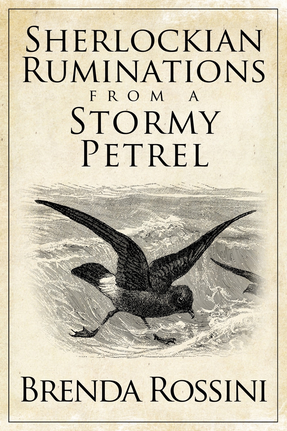 sherlockian ruminations from a stormy petrel