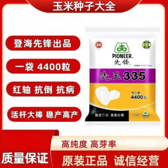 先锋先玉335玉米种子高产抗虫红轴大棒改良基因国审玉米种子 升级抗虫