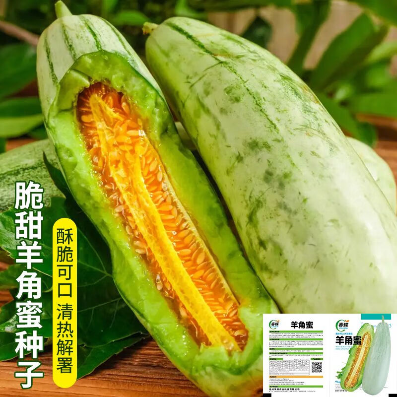 赤卉羊角蜜种子甜瓜种籽羊角酥西瓜香瓜种孑早熟品种四季瓜果蔬菜种子