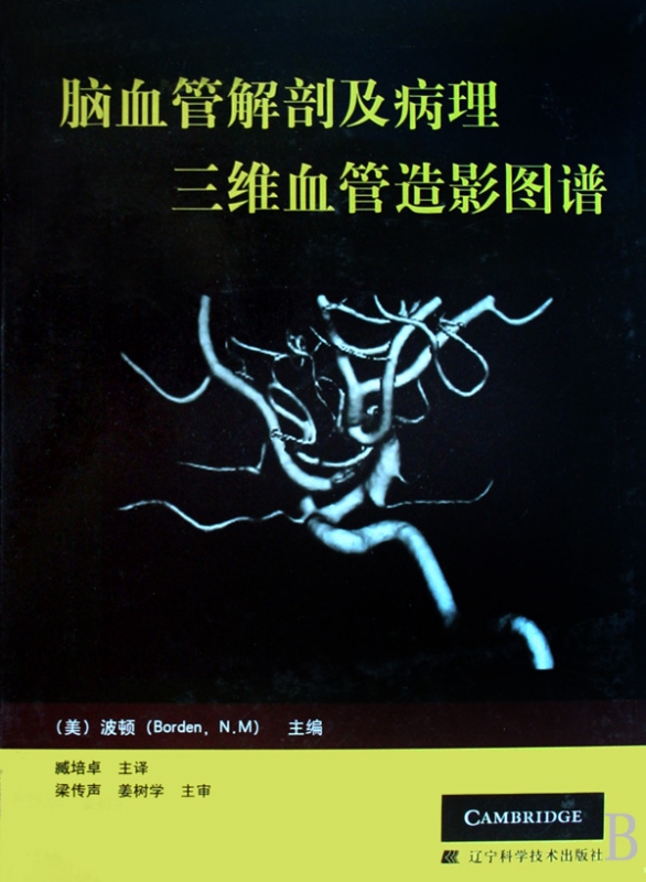 脑血管解剖及病理三维血管造影图谱(精)