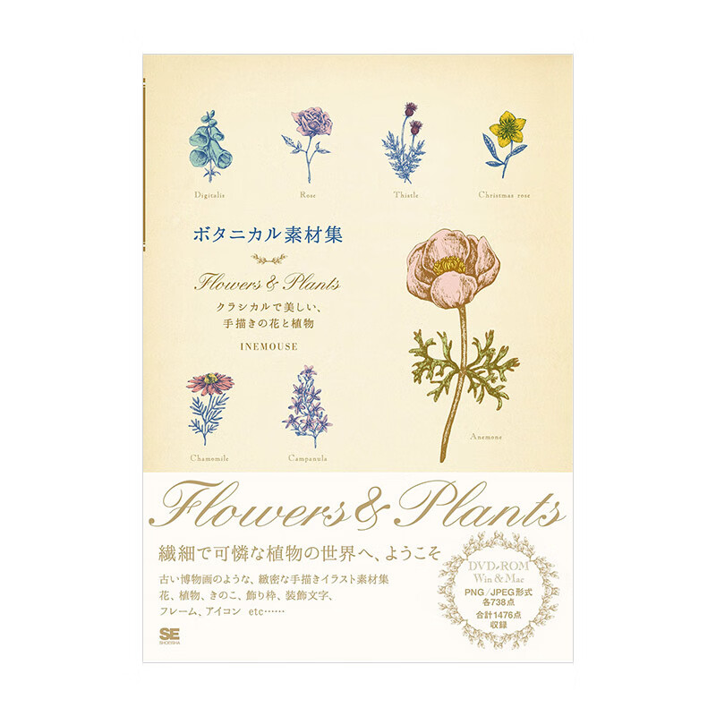 植物花卉 经典素材集 ボタニカル素材集 进口日文原版 植物世界 装饰框 装饰文字 框架 图标书籍