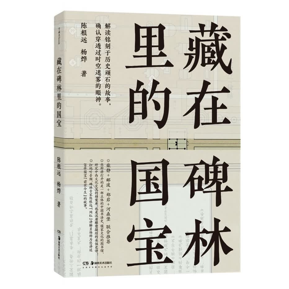 藏在碑林里的国宝 书法 书籍