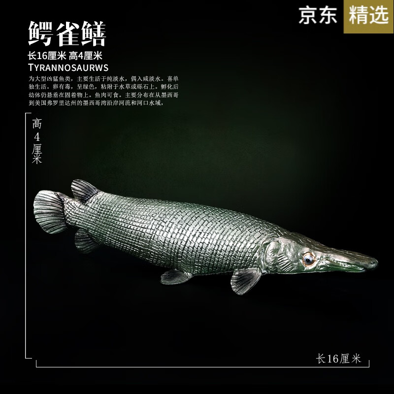 雀鳝鳄观赏鱼 玩模乐仿真动物模型 鳄雀鳝巨骨舌鱼海洋淡水河儿童认知