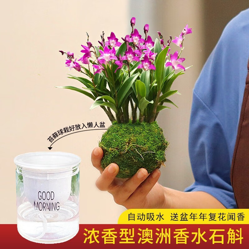 京东视频商品 2023-11-06 - 第23张  | 最新购物优惠券
