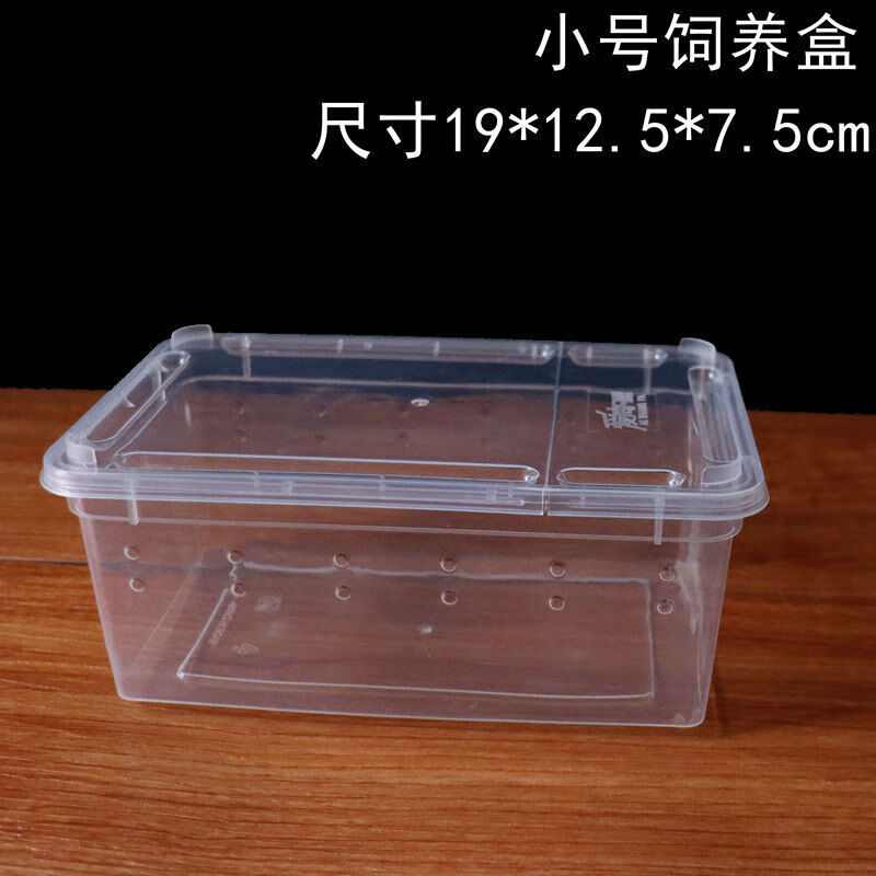 姬卉饲养箱睡鼠饲养盒透明仓鼠金丝熊小窝用品鼠养殖箱睡鼠外带笼