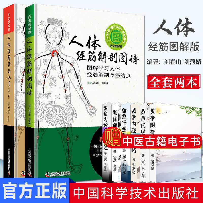 人体经筋解剖图谱 人体经筋循行地图 第2版 全套2册 图解学习人体经筋