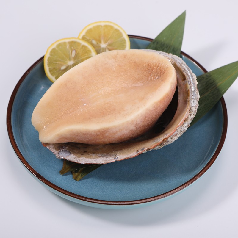 【第二只仅需29 礼盒装】南非黄金鲍 特大带壳螺肉 400-500g 1只 口感