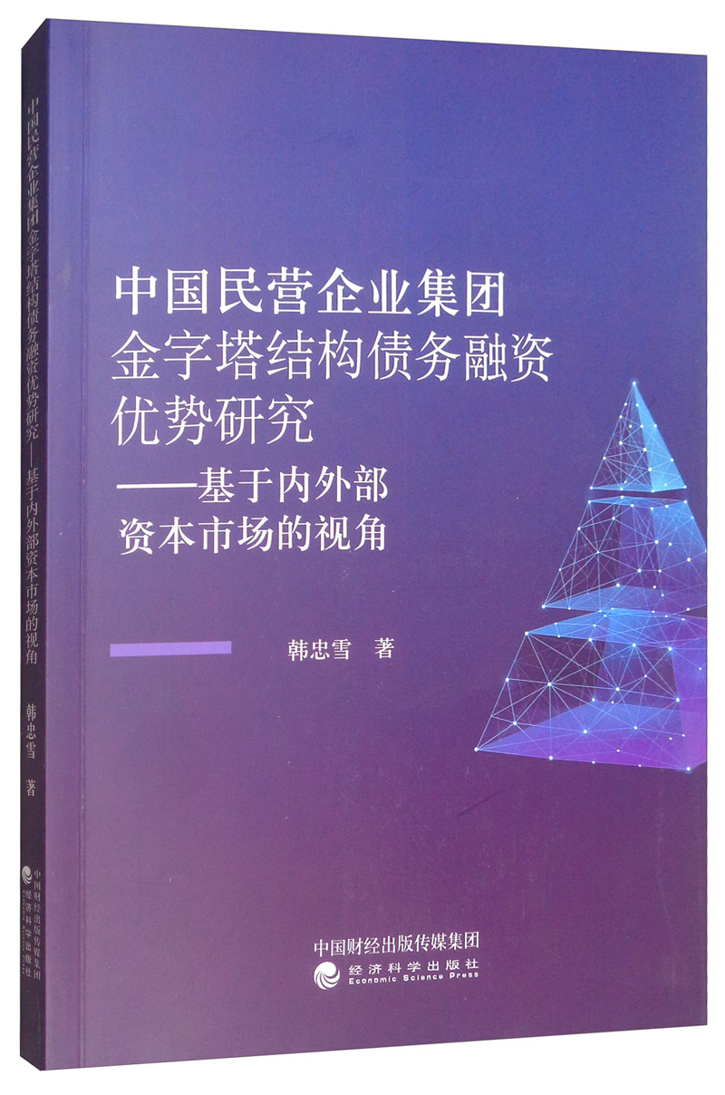 中国民营企业集团金字塔结构债务融资优势研