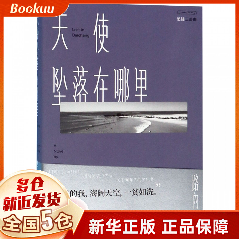 天使坠落在哪里/追随三部曲