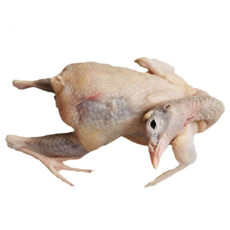 魃鲜 鹧鸪鸟肉 新鲜飞龙肉 现杀农家鹧鸪肉 特种养殖肉类禽类2只装