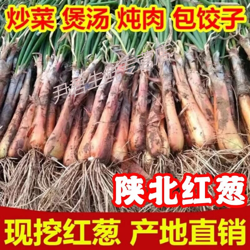 山地旱地红皮葱 正宗陕北红葱 去须去叶农家自产炖羊肉调料双头葱