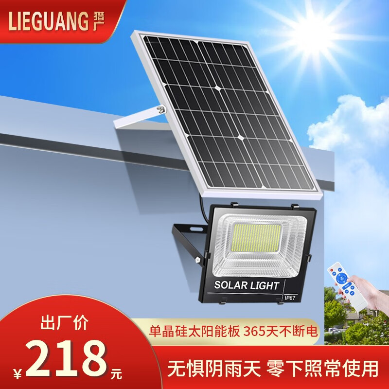 猎广（LIEGUANG） 太阳能灯庭院灯路灯家用室内户外LED投光灯防水新农村照明高亮 100W-5米连接线-照150平米