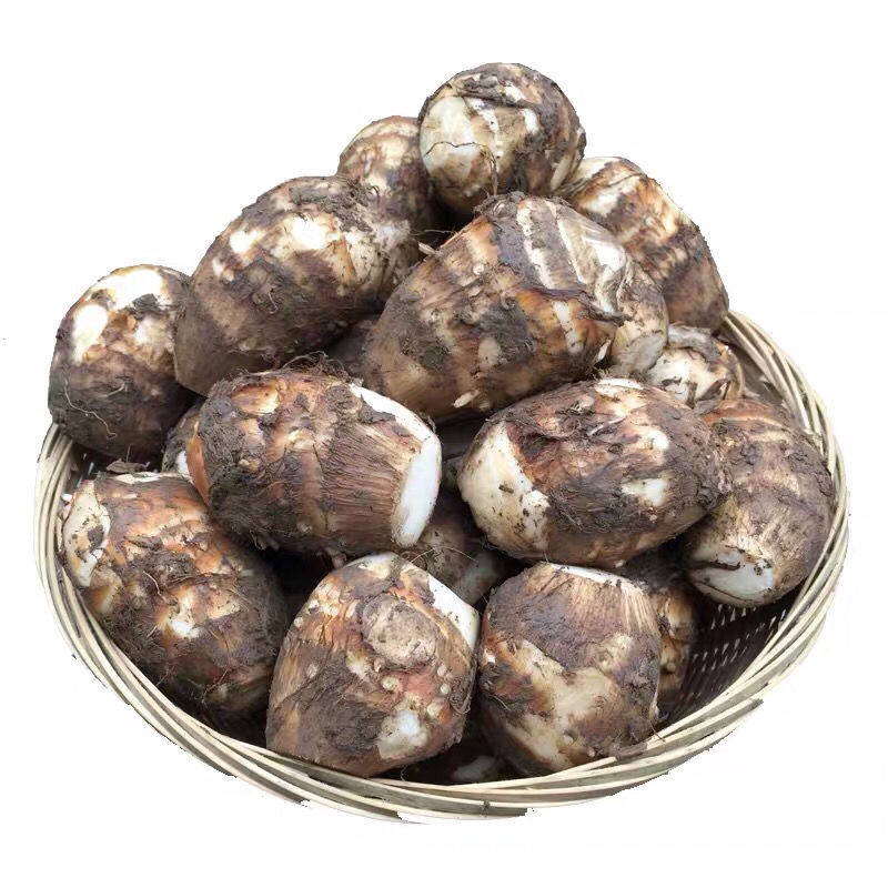湖北芋头 新鲜 小芋头农家香芋艿粉糯时令蔬菜毛芋仔 5斤装