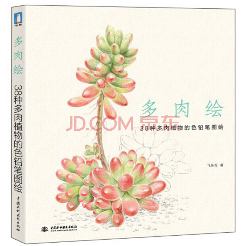 多肉绘 38种多肉植物的色铅笔图绘 飞乐鸟 彩铅画入门