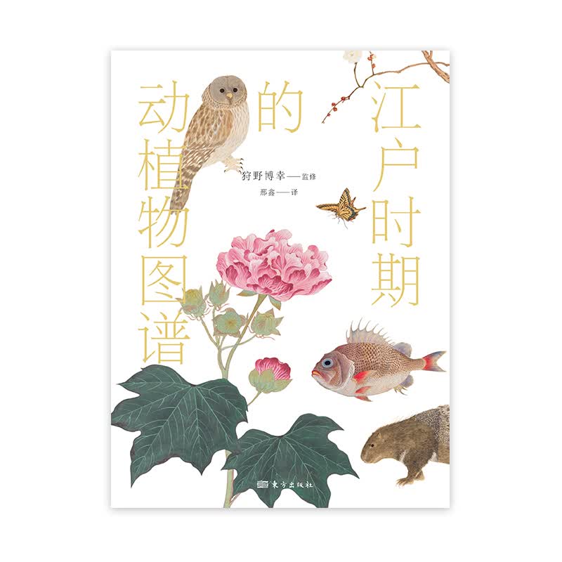 江户时期的动植物图谱 艺术 图书
