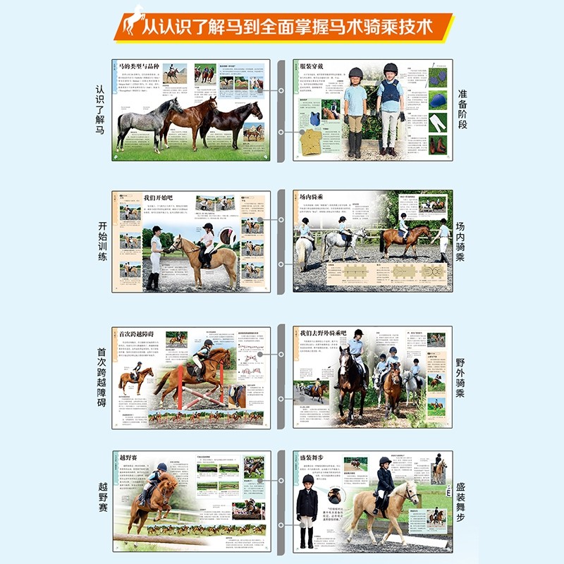 DK儿童马术全书详情图