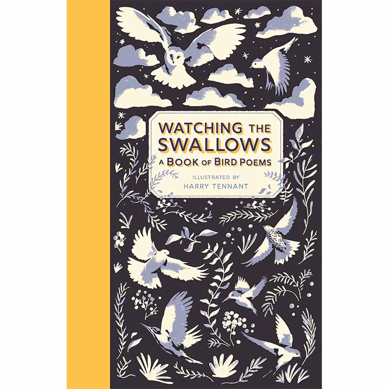 the swallows: a book of bird poems,观察燕子: 英文原版图书籍进口
