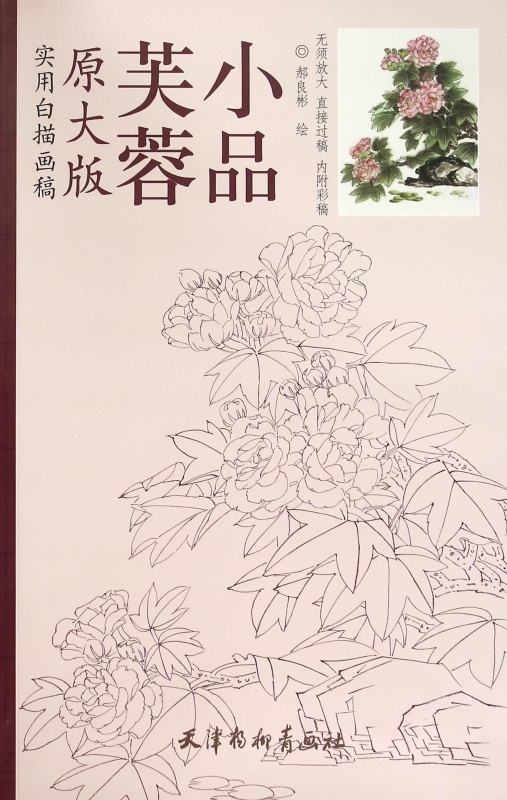 芙蓉小品(原大版实用白描画稿)