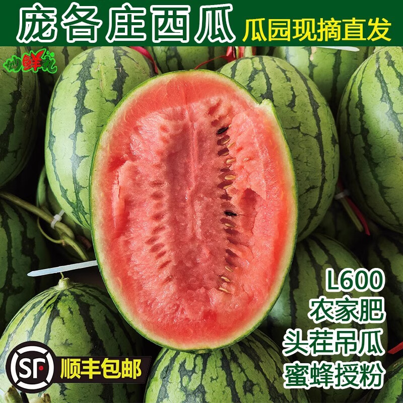 妙鲜礼(自有瓜园)大兴庞各庄西瓜l600 头茬吊瓜现摘袖珍西瓜礼盒4个装