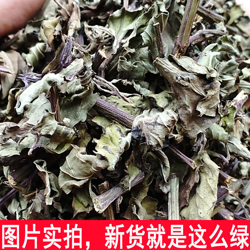 新货猫须草云南肾茶500g化石草 猫须草西双版纳特级