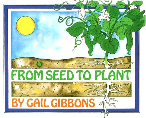 英文原版 从种子到植物 科普绘本 From Seed to Plant