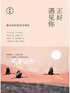 正好遇见你 延参著 九州出版社