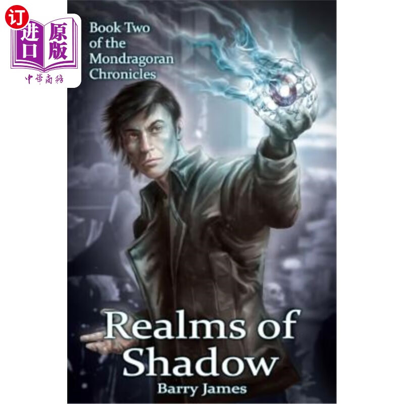 海外直订realms of shadow 领域的影子