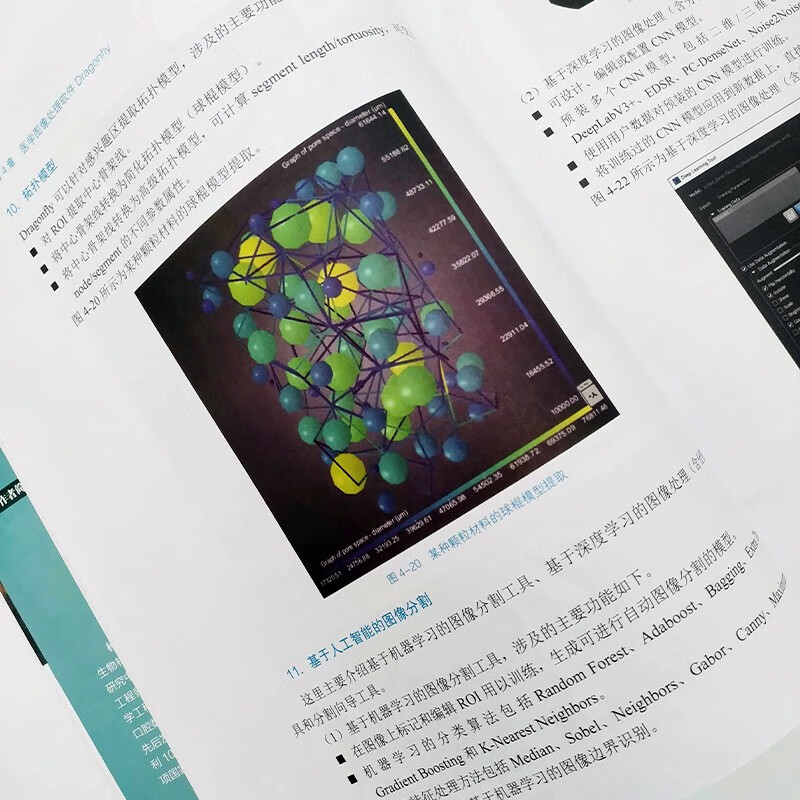 AI医学图像处理(基于Python语言的Dragonfly)(异步图书出品)