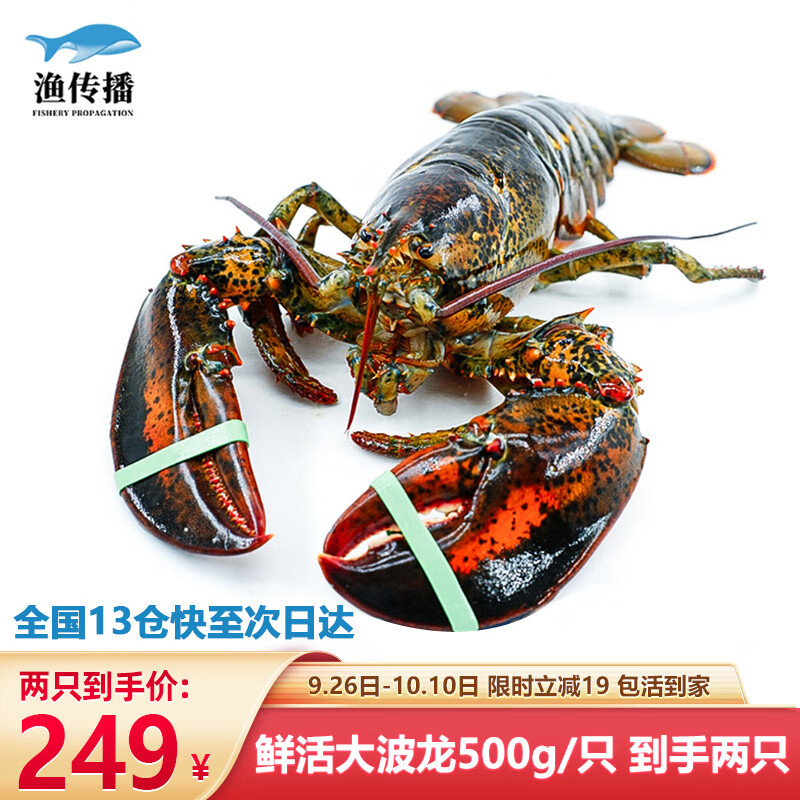 渔传播【活鲜】加拿大龙虾波士顿大龙虾波龙鲜活500g/只*2只装 海鲜水产