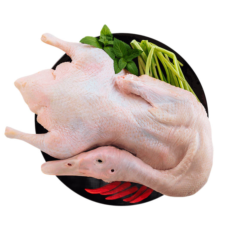 筱诺 新鲜嫩鸭子鸭肉3只装 1kg/只 到手45.9元包邮，折15.3元/只，肉质鲜嫩，高蛋白，低热量，口感细腻，老少皆宜 - 线报酷