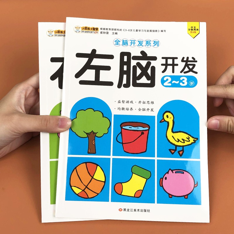 全脑智力大开发 2-3-4岁宝宝早教婴幼儿童专注力观察力训练游戏书5-6左右脑开发图画 2-3岁共2册