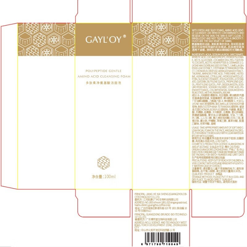 GAYL'OY氨基酸洗面奶深层清洁泡沫温和洁面洗卸合一100ml适用男女