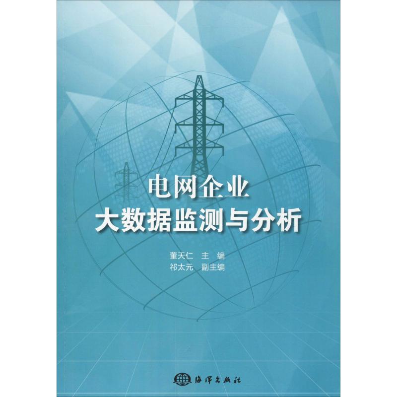 电网企业大数据监测与分析
