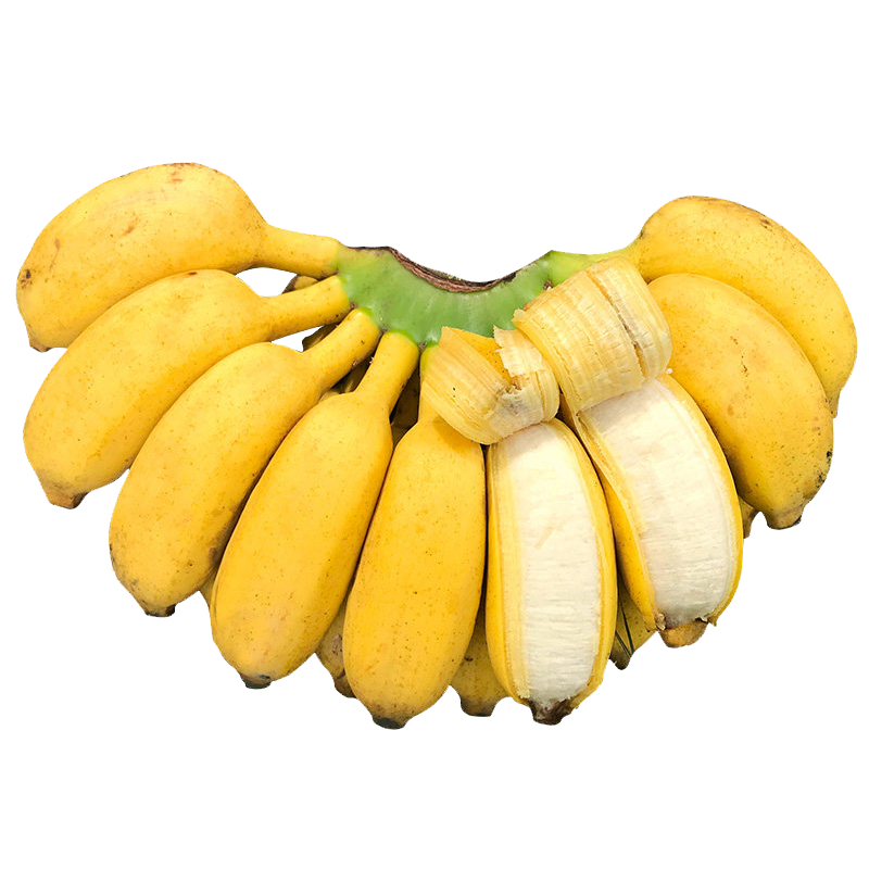 新鲜香蕉广西小米蕉水果新鲜banana酸甜水果当季小香蕉 10斤(带箱)