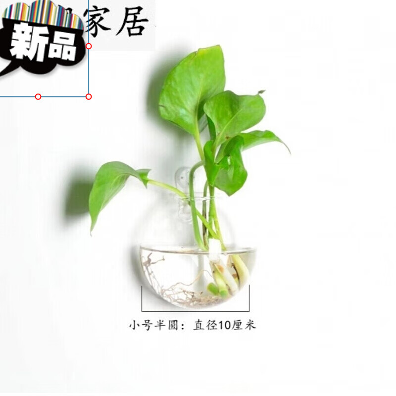 挂在墙上的花盆 悬挂在墙上的花盆免打孔绿萝植物水培壁挂玻璃花瓶
