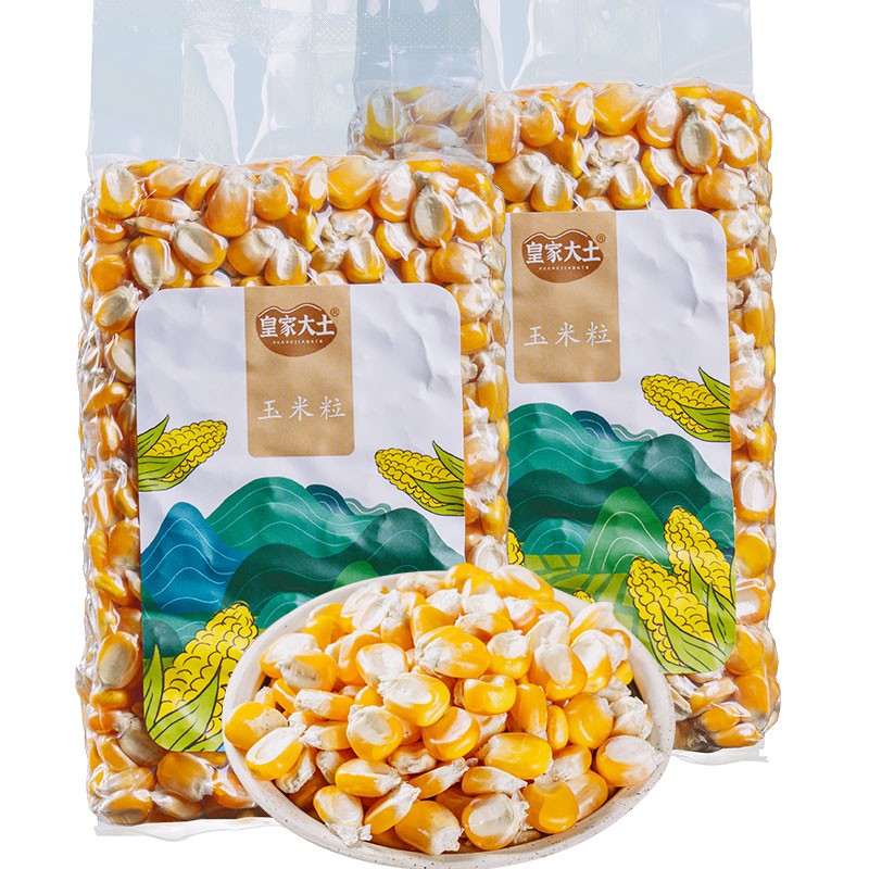 皇家大土玉米粒 贵州本地非转基因玉米 硬粒型干玉米 老玉米 真空包装