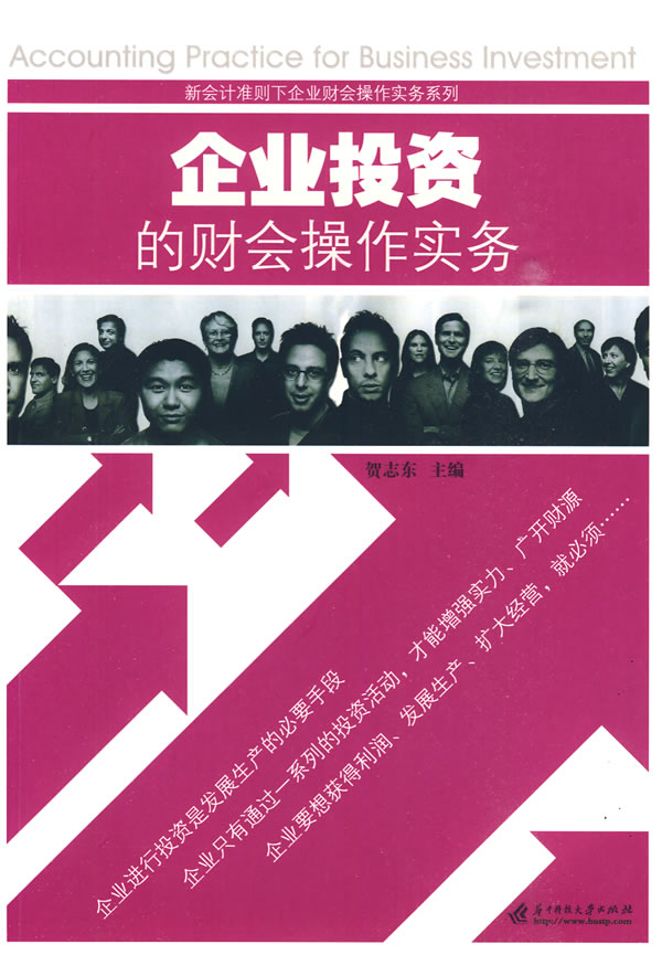 企业投资的财会作实务 管理 书籍