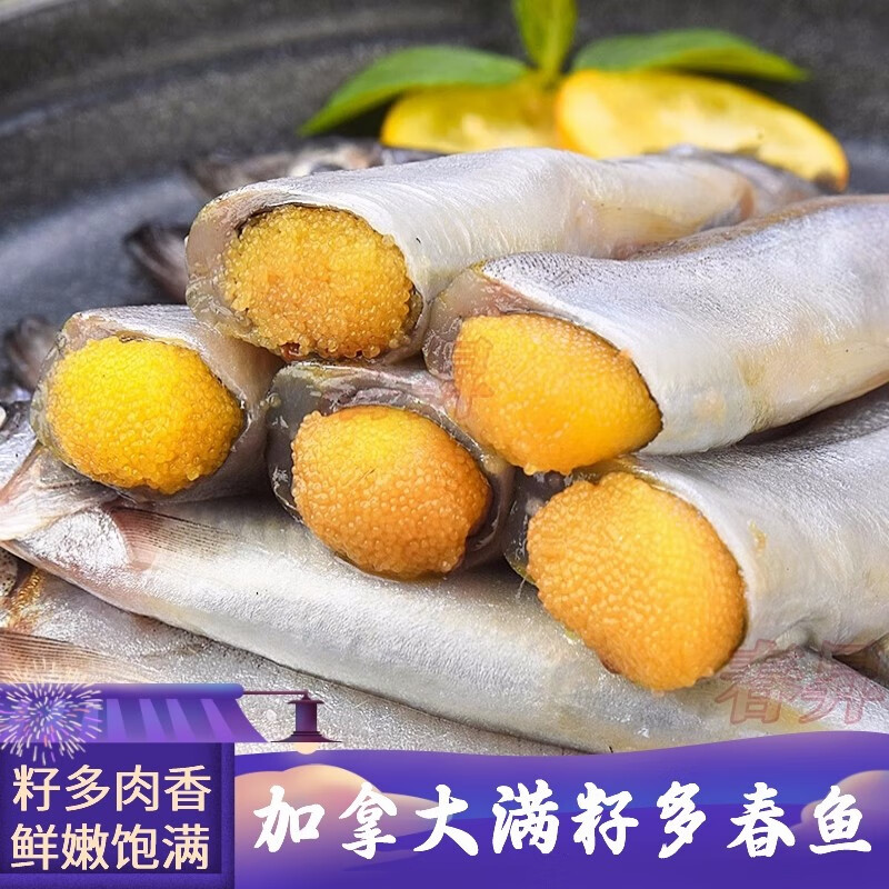李享食丰多春鱼满籽新鲜多春魚多籽鱼烧烤食材海鲜冷冻柳叶鱼大 精选3