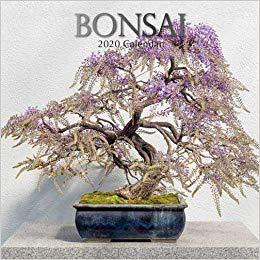 【预订】bonsai : 2020 square wall