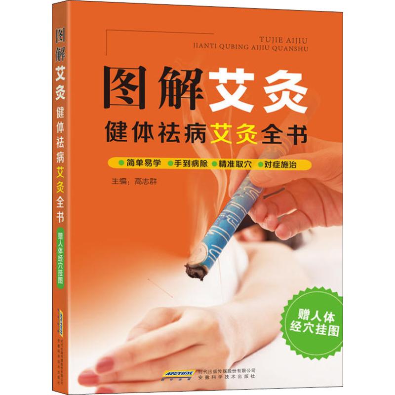 图解艾灸 健体祛病艾灸全书高志群 