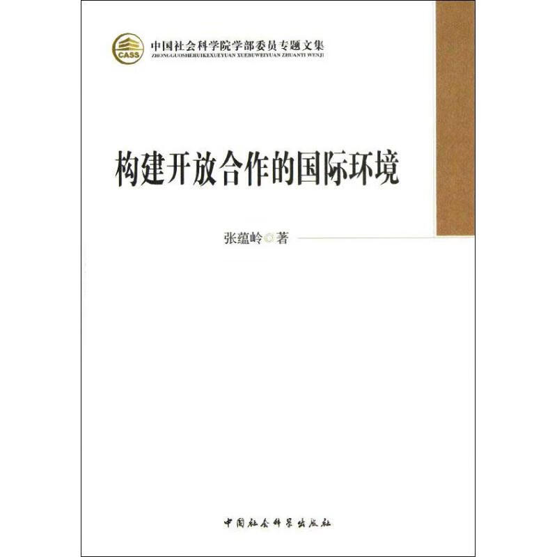 构建开放合作的国际环境