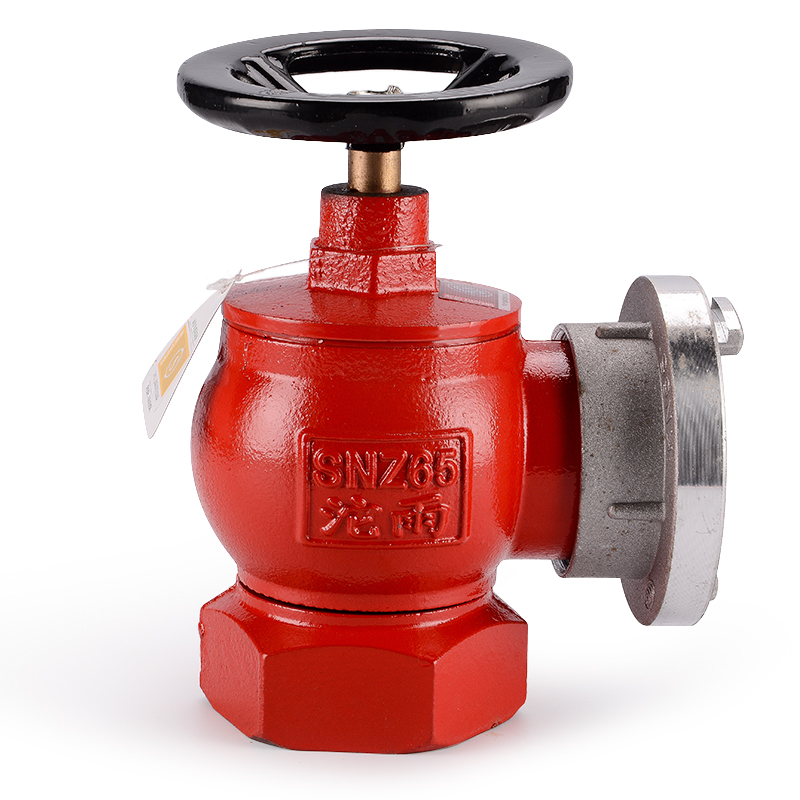 沱雨(tuoyu) 室内旋转消火栓水带阀门消防栓 国标2.5英寸65mm snz65型