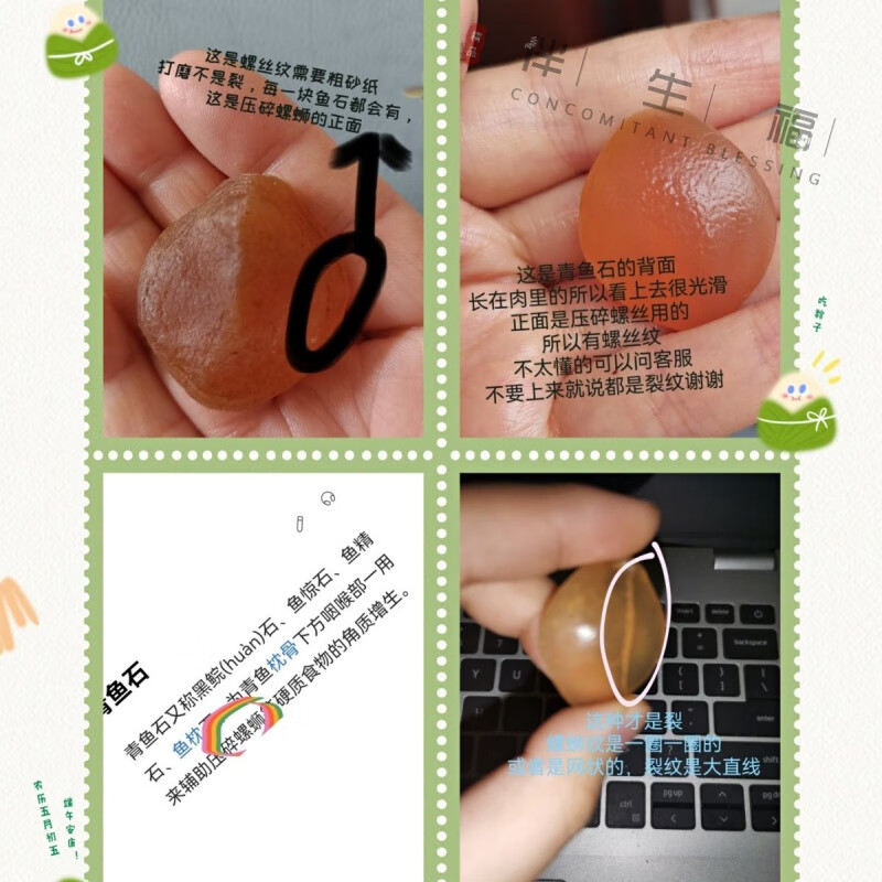 伴生福青鱼石原石 真品保真鱼惊石喉骨打磨原料鱼惊骨鱼喉骨 3g以下