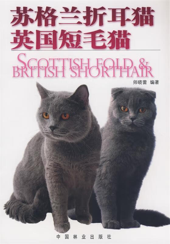 苏格兰折耳猫.英国短毛猫 师晓蕾编著【正版】