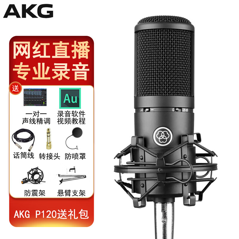 爱科技（AKG） P120 主播专用麦克风设备套装直播声卡有声书配音播音录书话筒 配支架套装 1对1调音