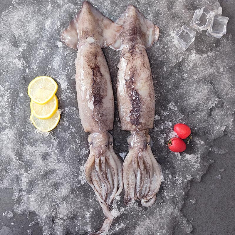 plus会员:挑霸 鲜冻鱿鱼 整条 1斤*5件